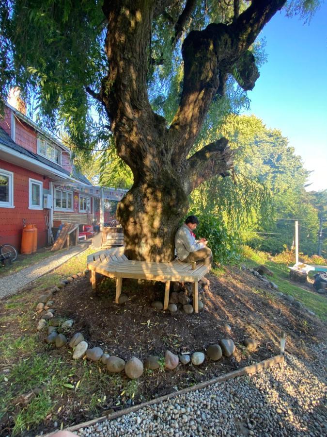 La Guapa Hostel Puerto Varas Zewnętrze zdjęcie
