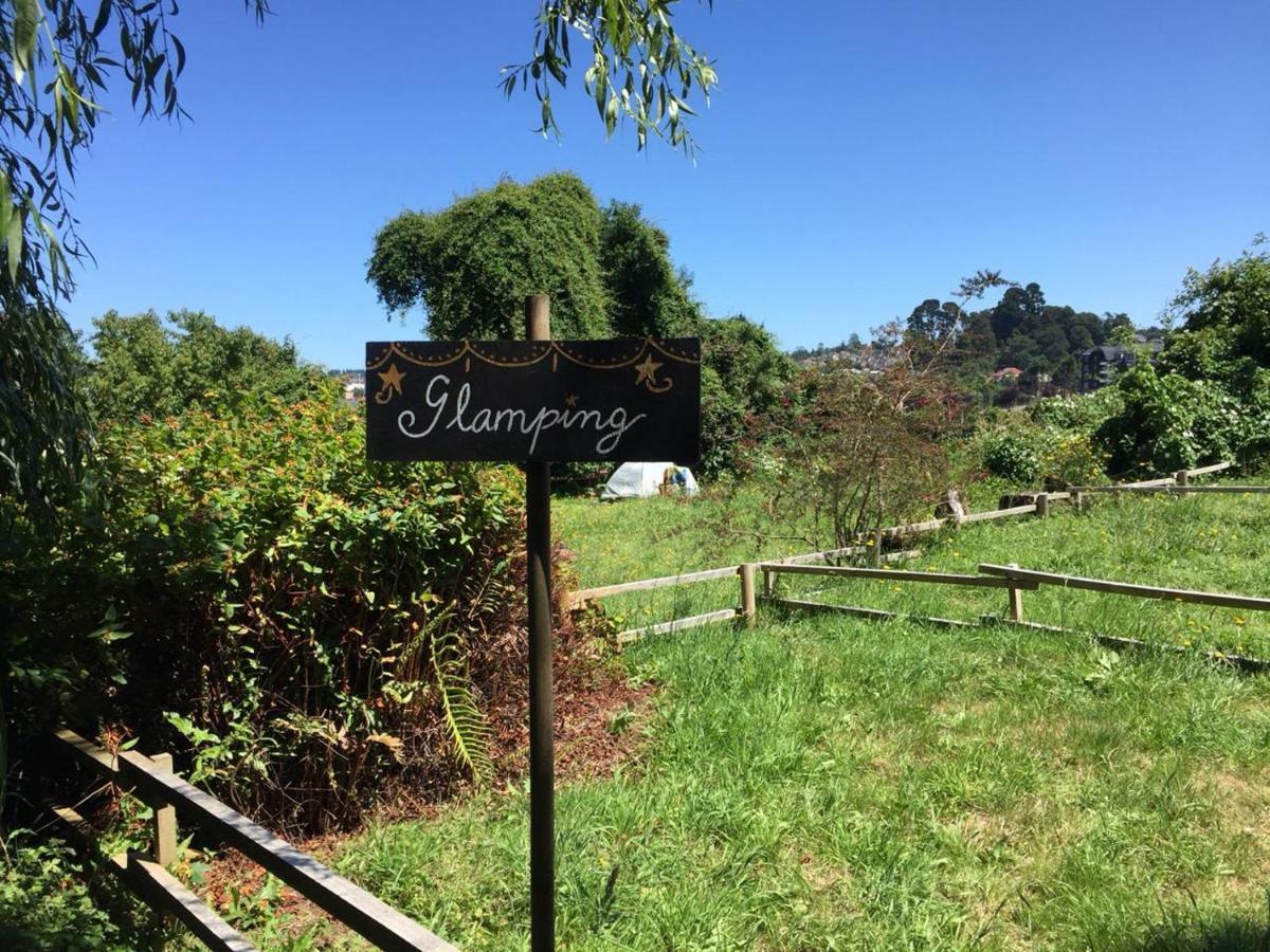 La Guapa Hostel Puerto Varas Zewnętrze zdjęcie
